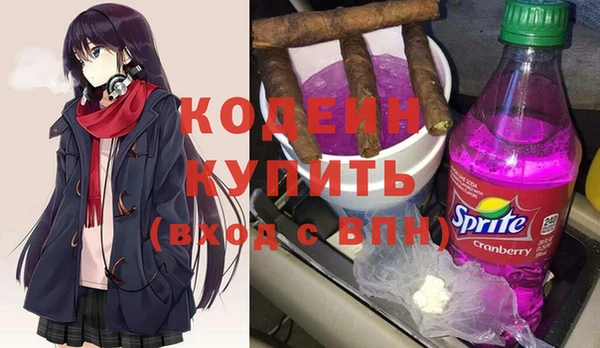прущий лед Алзамай