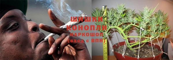 дурь Покачи