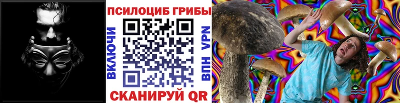 omg сайт  закладки  Сельцо  Галлюциногенные грибы мухоморы 